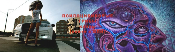 ПСИЛОЦИБИНОВЫЕ ГРИБЫ Ельня