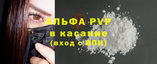 ПСИЛОЦИБИНОВЫЕ ГРИБЫ Ельня