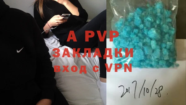 ПСИЛОЦИБИНОВЫЕ ГРИБЫ Ельня