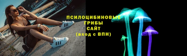 прущие крисы Елизово