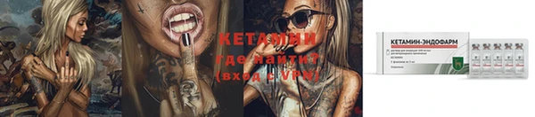 ПСИЛОЦИБИНОВЫЕ ГРИБЫ Ельня