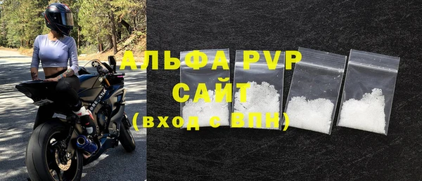 ПСИЛОЦИБИНОВЫЕ ГРИБЫ Ельня