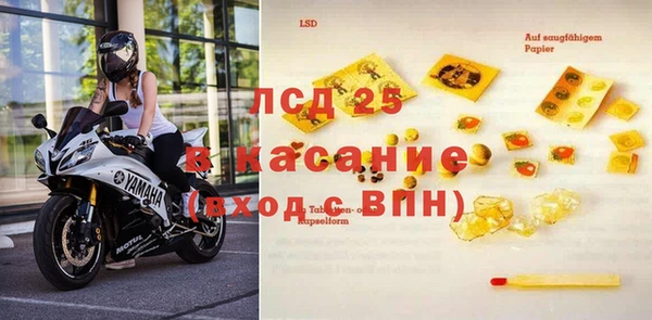 ПСИЛОЦИБИНОВЫЕ ГРИБЫ Ельня