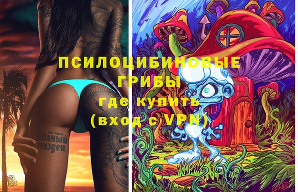 прущие крисы Елизово