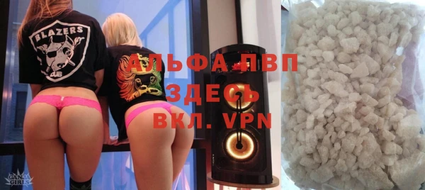 ПСИЛОЦИБИНОВЫЕ ГРИБЫ Ельня